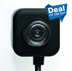 REF-CAM CAMERA